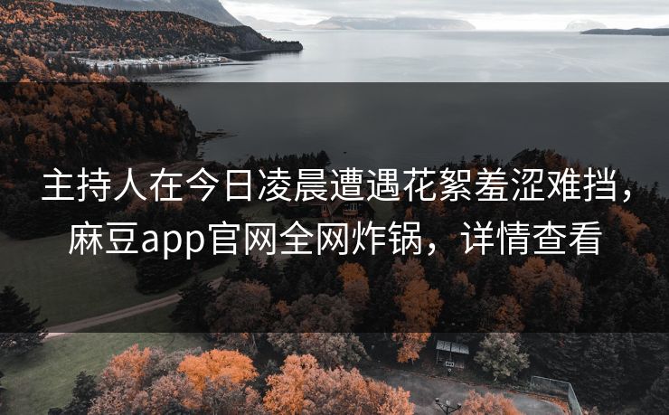 主持人在今日凌晨遭遇花絮羞涩难挡，麻豆app官网全网炸锅，详情查看