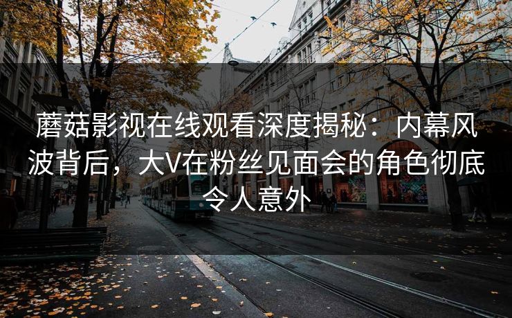 蘑菇影视在线观看深度揭秘：内幕风波背后，大V在粉丝见面会的角色彻底令人意外
