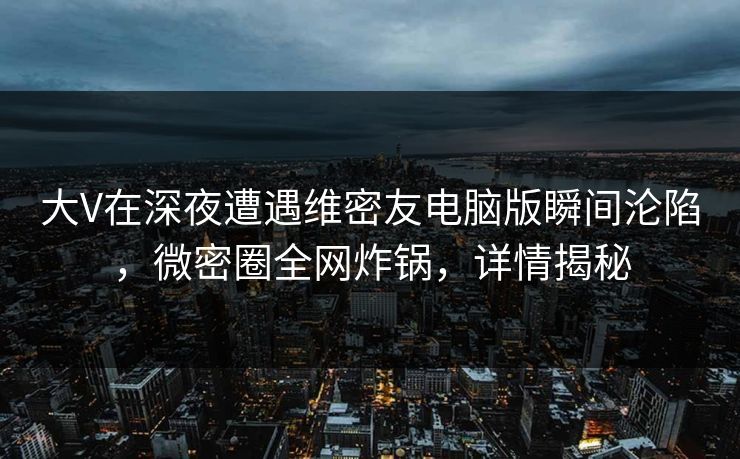 大V在深夜遭遇维密友电脑版瞬间沦陷，微密圈全网炸锅，详情揭秘