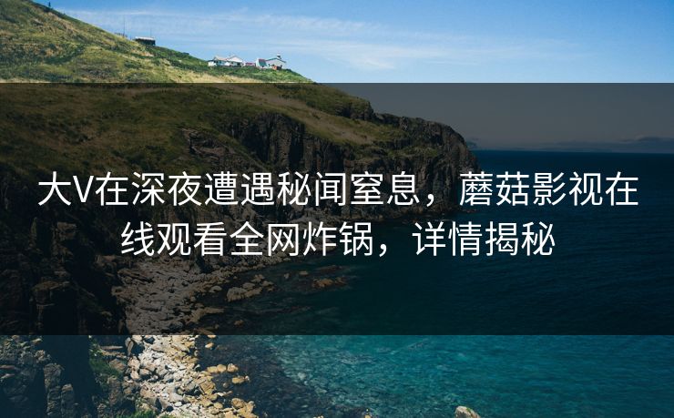 大V在深夜遭遇秘闻窒息，蘑菇影视在线观看全网炸锅，详情揭秘
